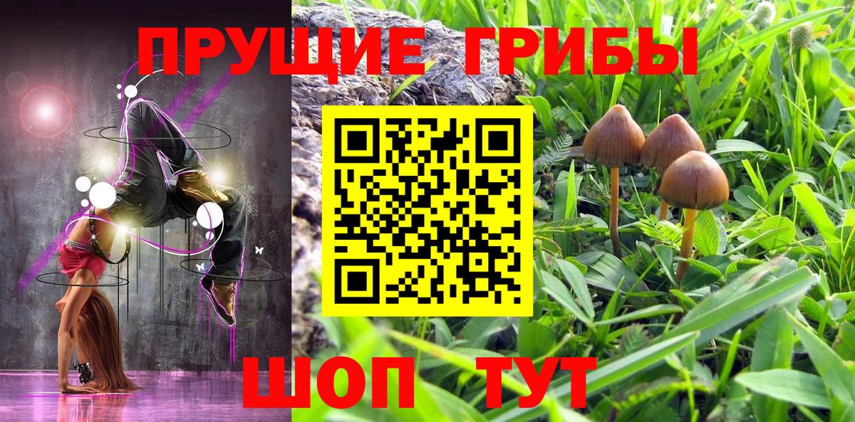 Псилоцибиновые грибы Psilocybine cubensis  Псилоцибиновые грибы Psilocybe  Заволжье  даркнет сайт  Вход с VPN 
