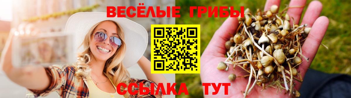 Галлюциногенные грибы ЛСД Заволжье